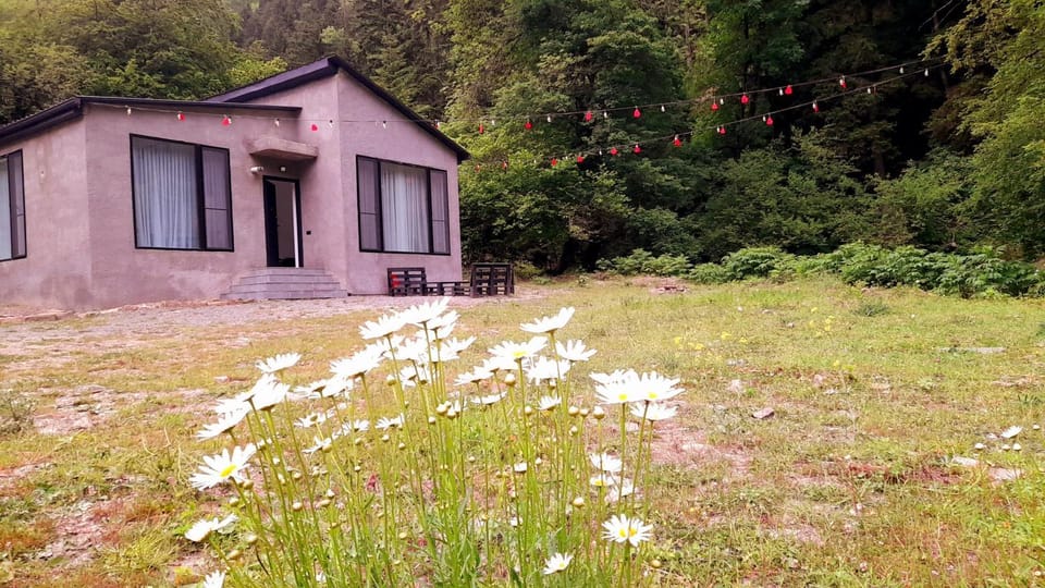 Property building, Natural landscape, Garden, Garden view