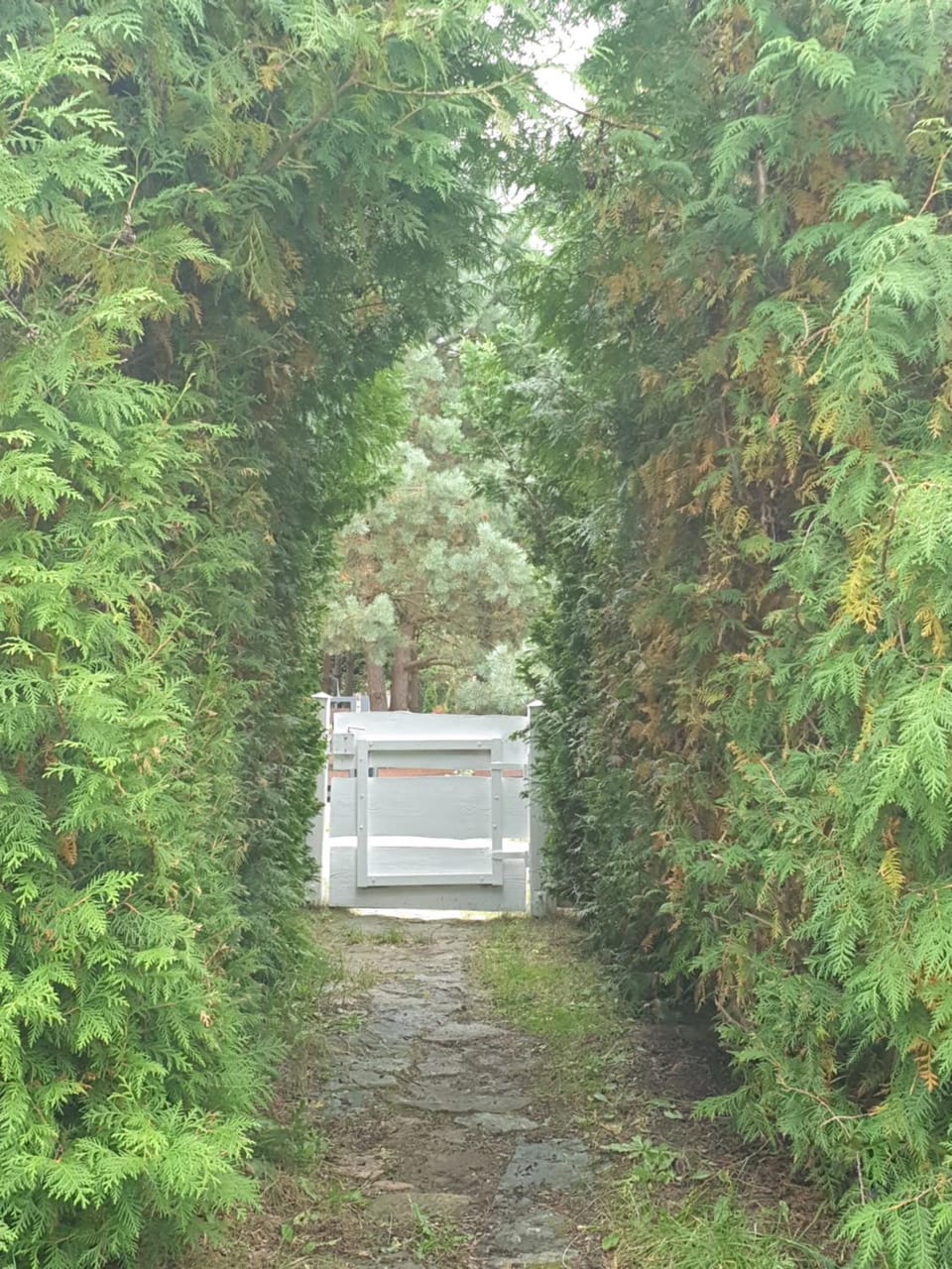 Błękitny Domek - Tleń - Bory Tucholskie House in Pomeranian Voivodeship