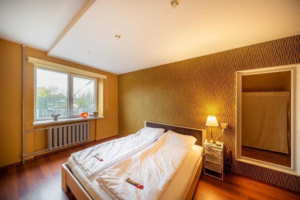 Wonderful Apartment in the City Center Apartment in Lithuania