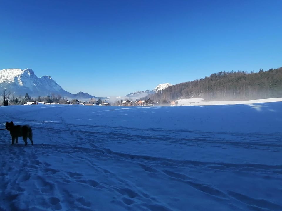 Haus Tressenstein Apartment in Bad Aussee