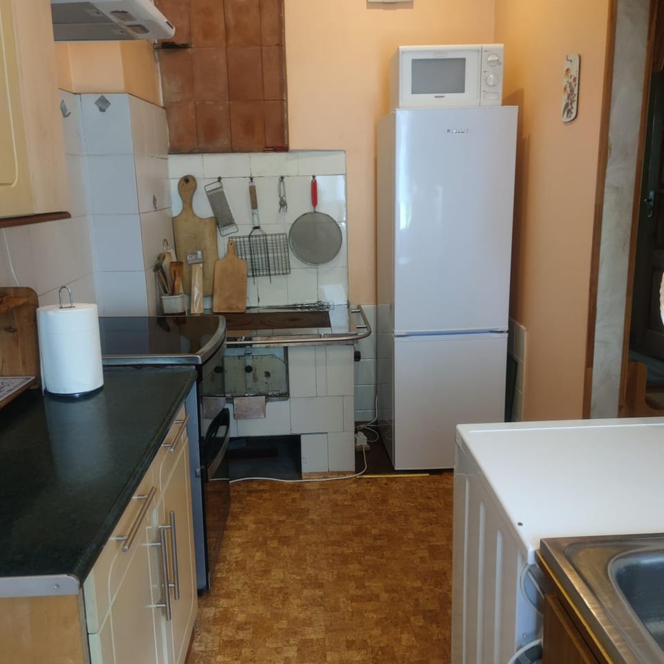 Kitchen or kitchenette, minibar, pet friendly, stove