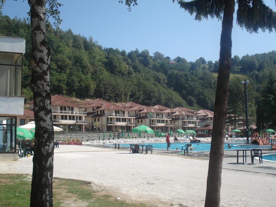 Natural landscape, Swimming pool, sunbed