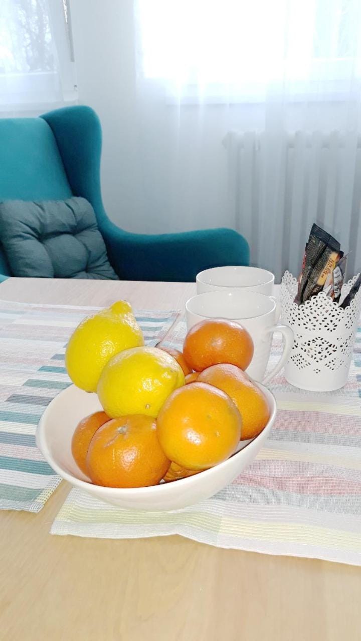 BLUE DANUBE Apartment in Belgrade