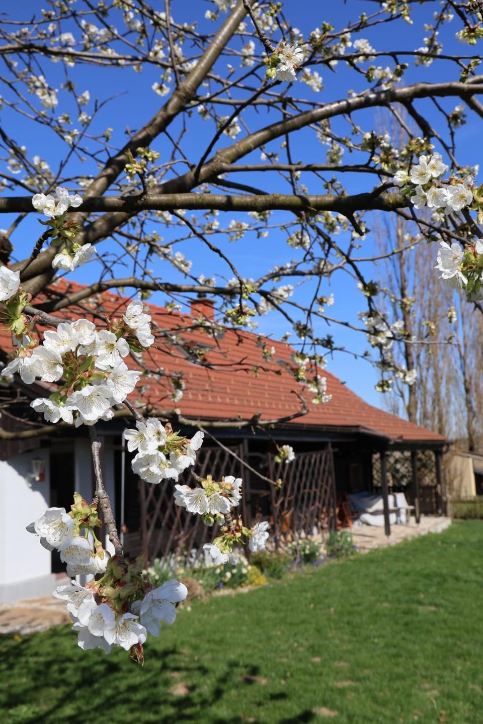 Spring