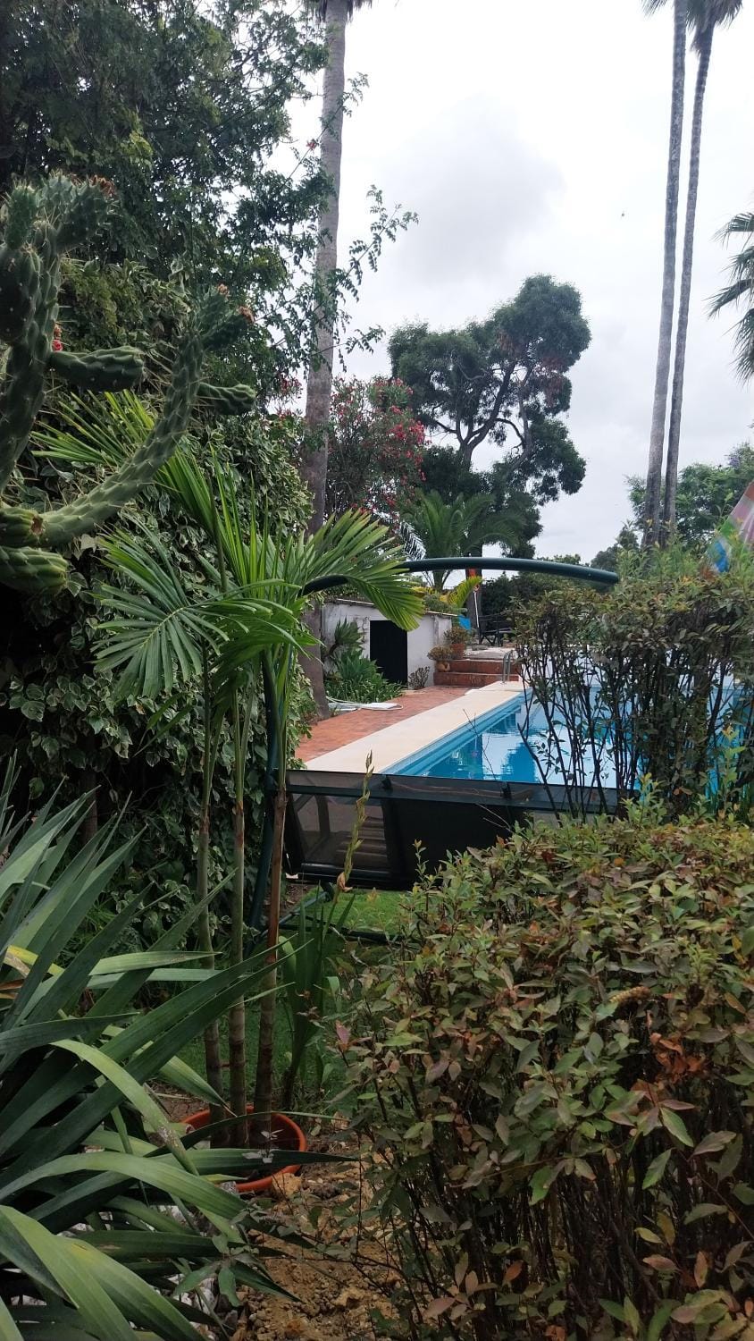 Garden, Swimming pool