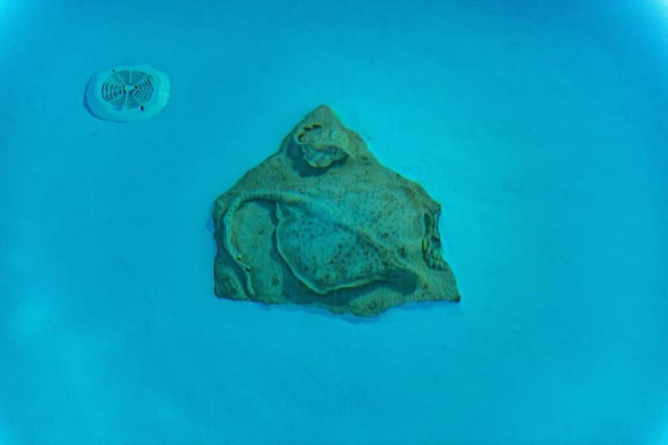 Marble Art Villas Villa in Decentralized Administration of the Aegean