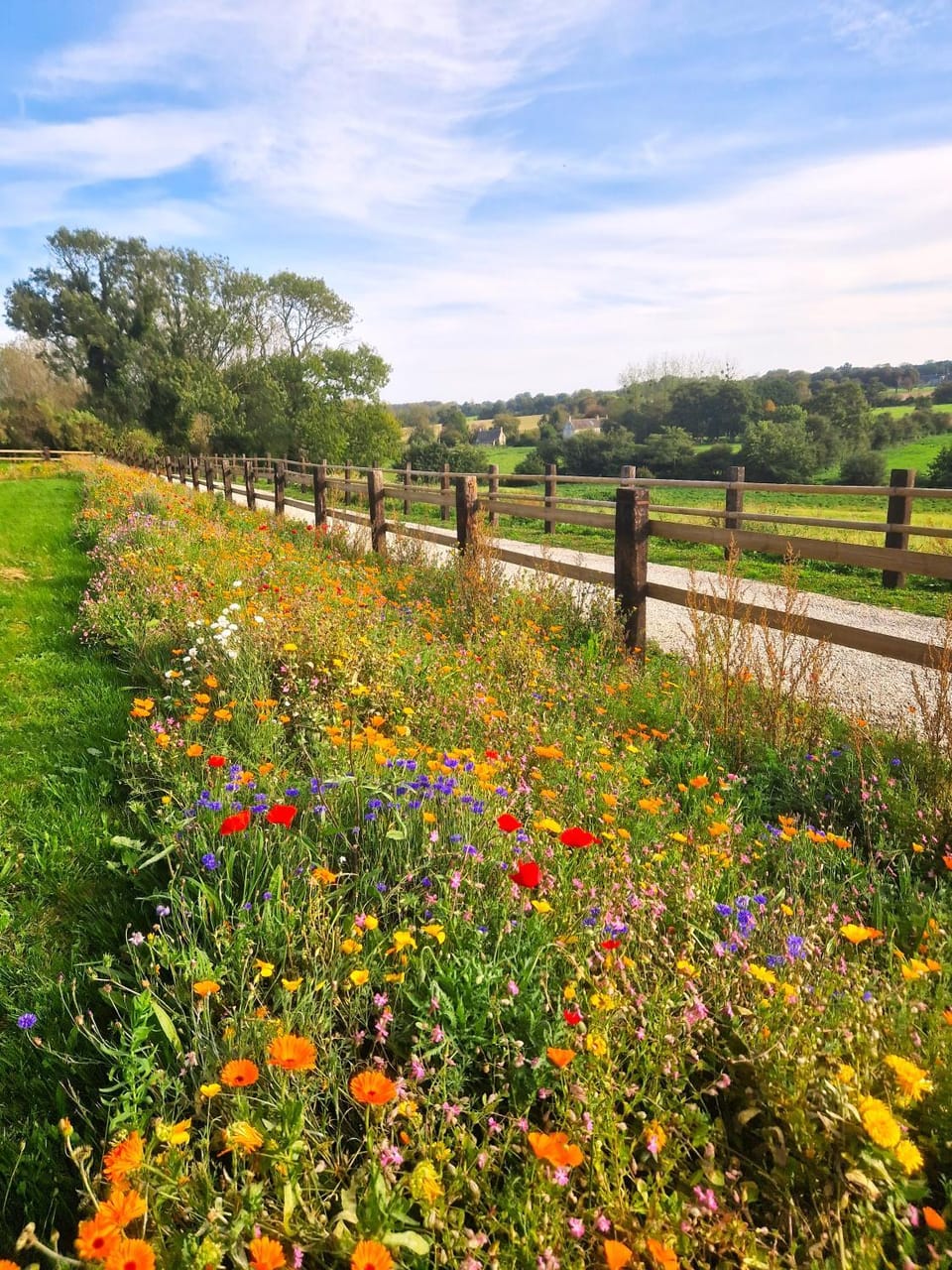 Natural landscape, Garden, Garden view