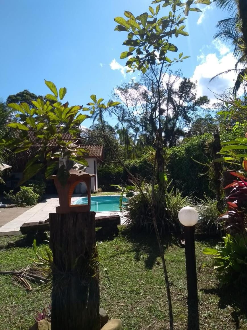 Garden, Pool view, Swimming pool