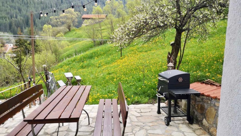Къща До Гората Триград Bed and Breakfast in Decentralized Administration of Macedonia and Thrace