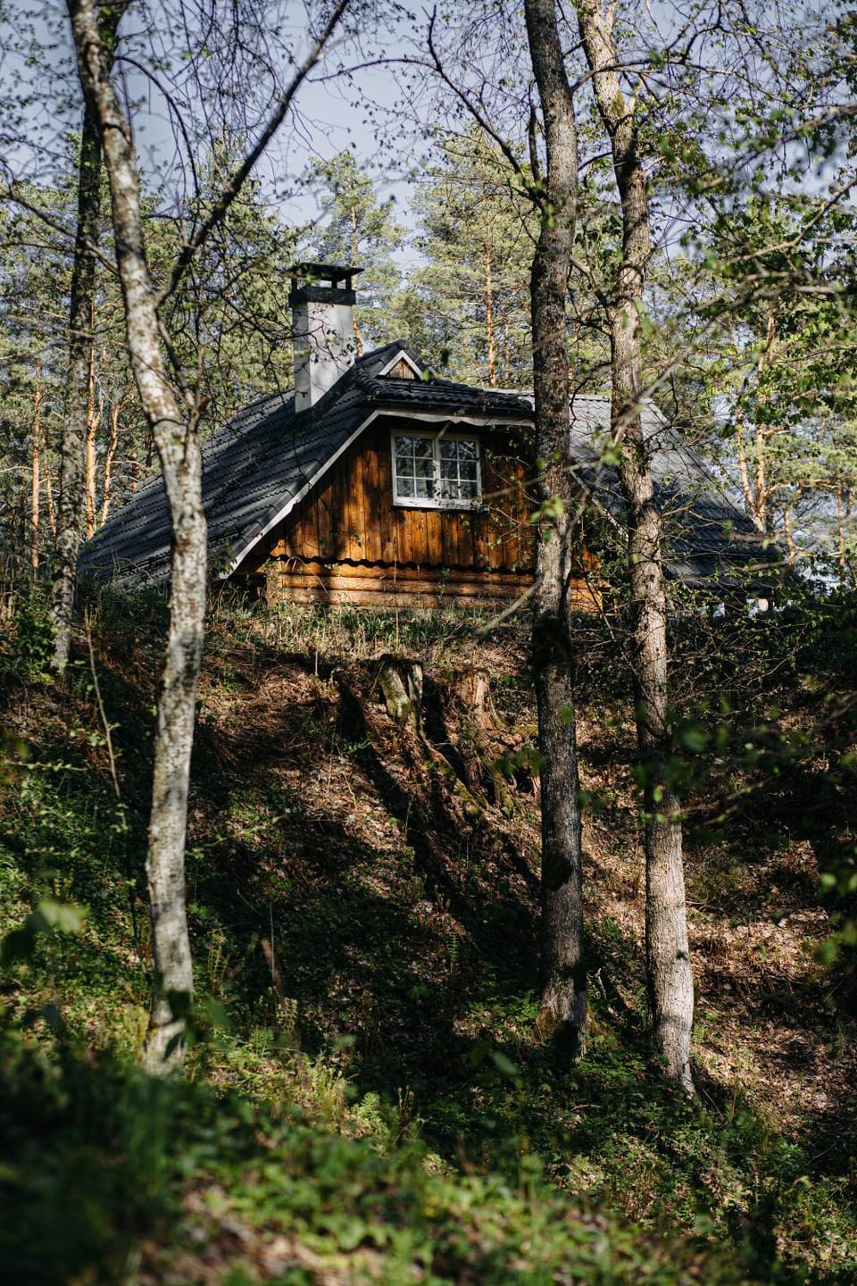 Property building, Spring, Day, Natural landscape