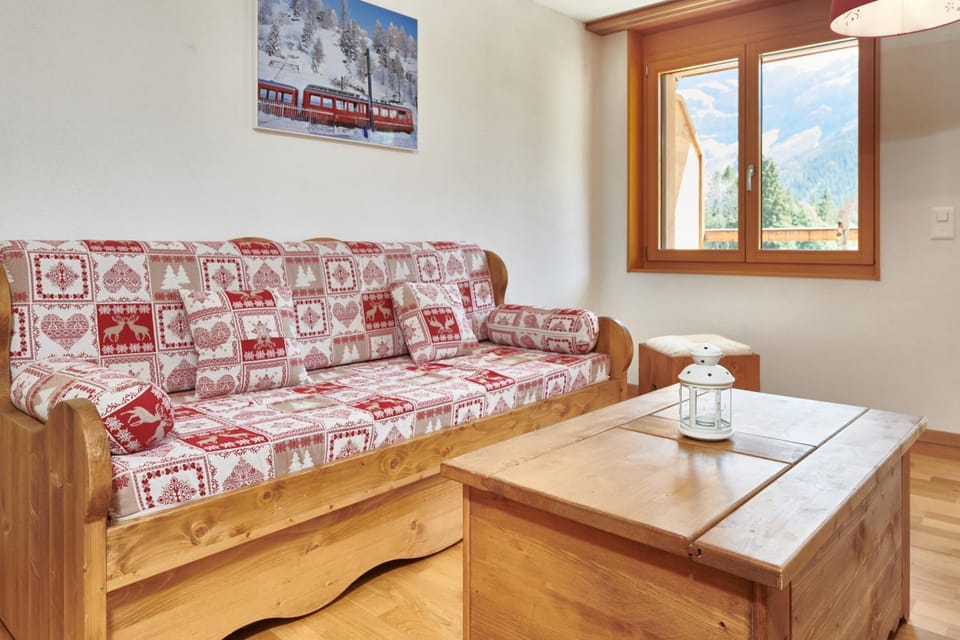 Magnifique appartement aux Diablerets avec vue imprenable Apartment in Canton of Vaud