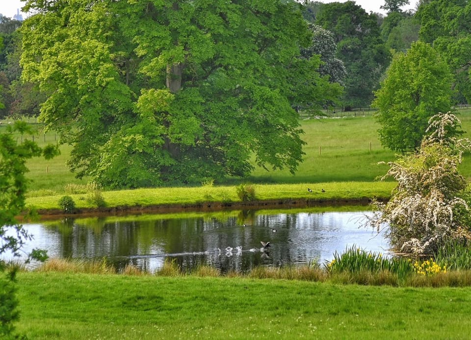 Lake view