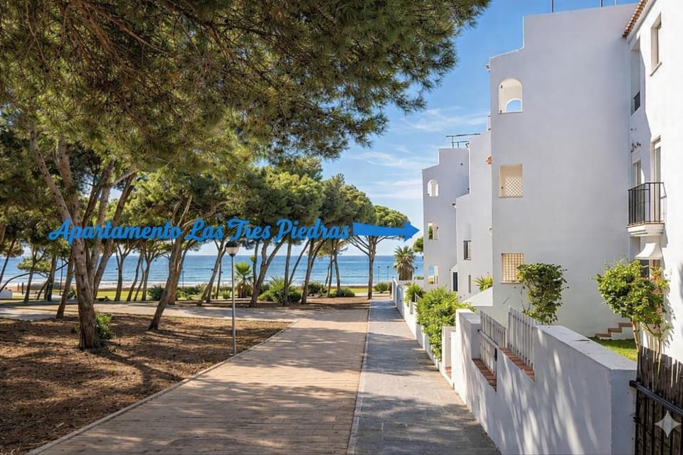 Property building, Restaurant/places to eat, Spring, Day, Night, Natural landscape, Winter, Summer, Garden, Seating area, Beach, Autumn, Garden view, Sea view, Sea view, Area and facilities, Seasons, Location, Sunset