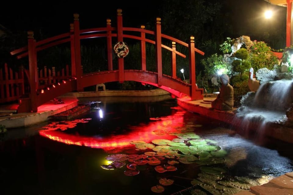 Garden, Aqua park, Evening entertainment