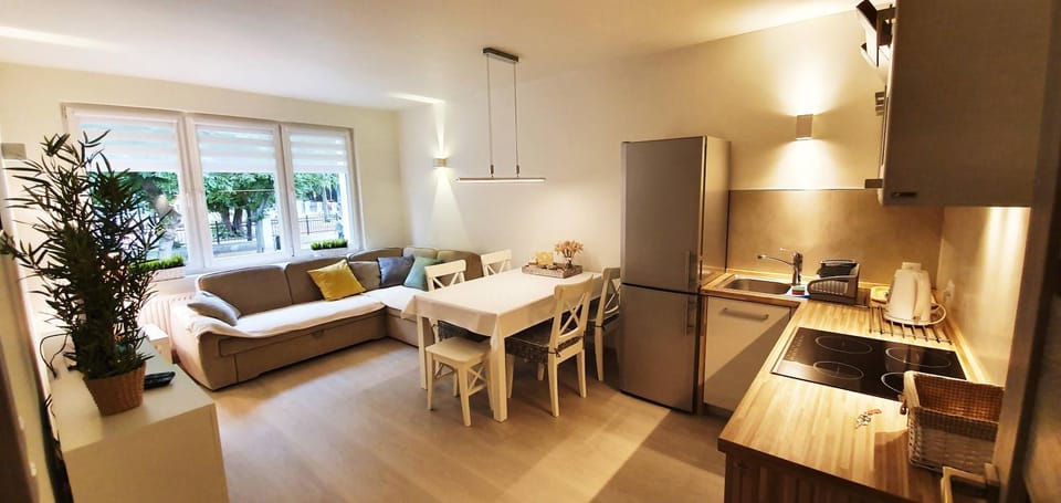 Kitchen or kitchenette, Living room, Other, Photo of the whole room, Decorative detail, Seating area, Dining area, On site, City view, Street view, Area and facilities