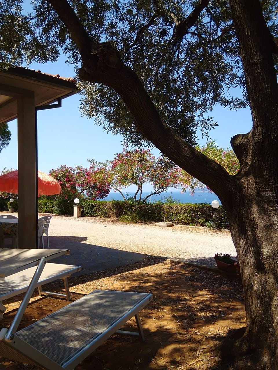 Garden, Sea view