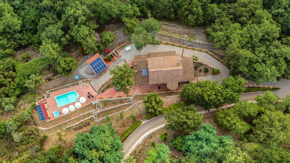 Bird's eye view, Garden