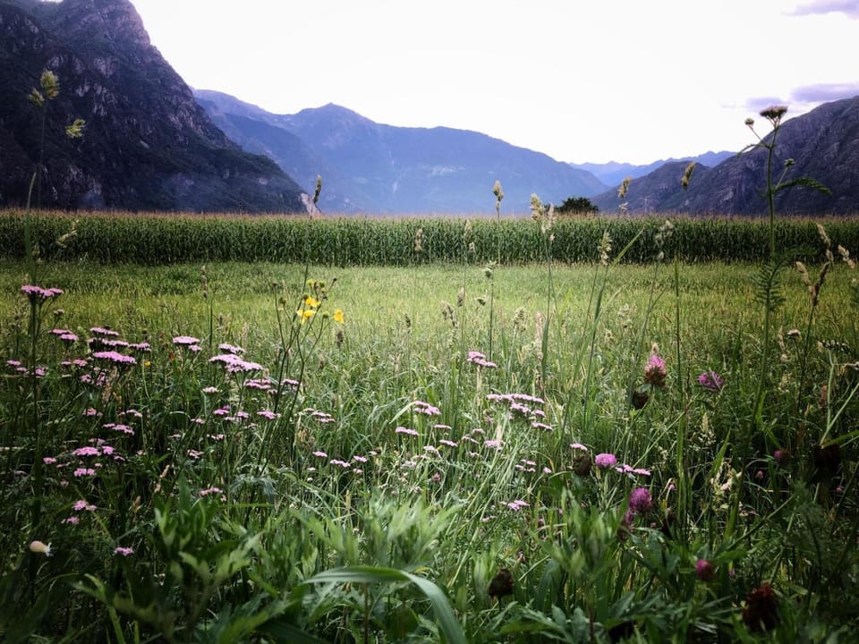 Agriturismo Summus Lacus Farm Stay in Canton of Grisons