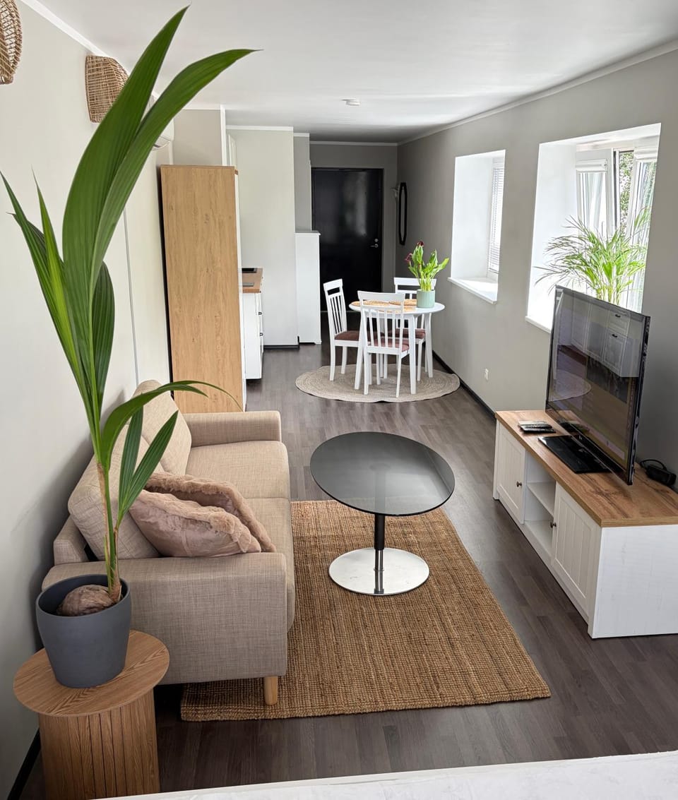 Privilege Apartments KVARTIRA 4 Apartment in Estonia