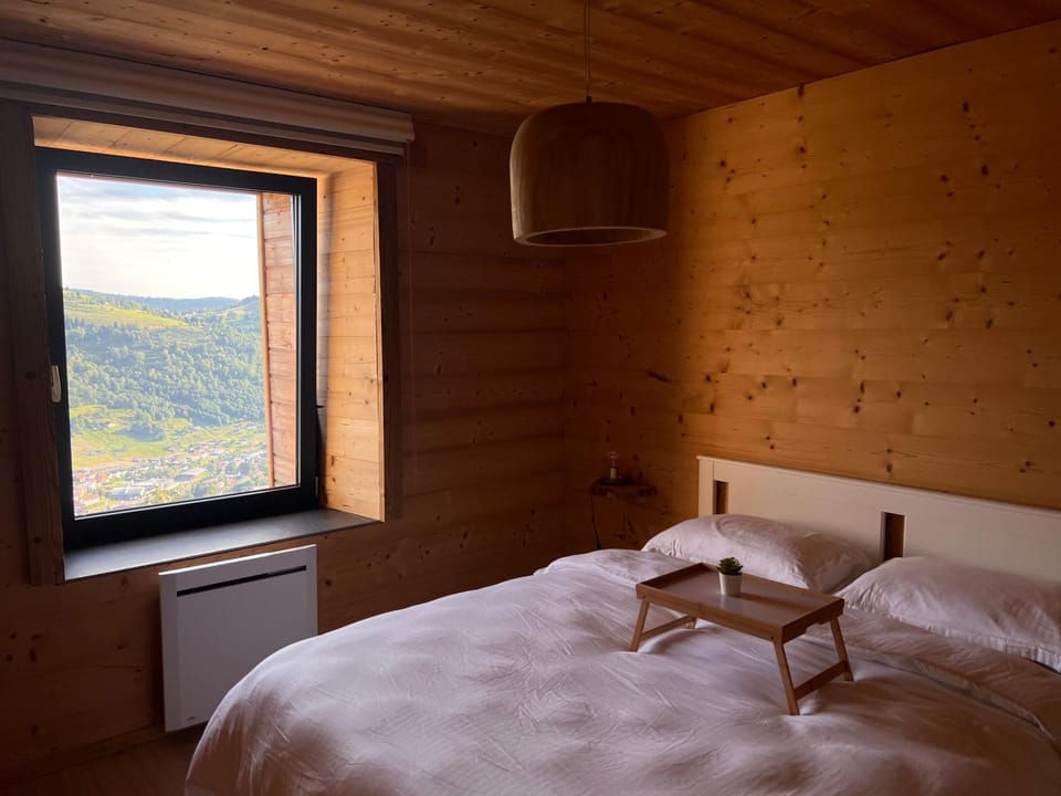 Dahu - Vue Panoramique La Bresse-Gerardmer Apartment in La Bresse