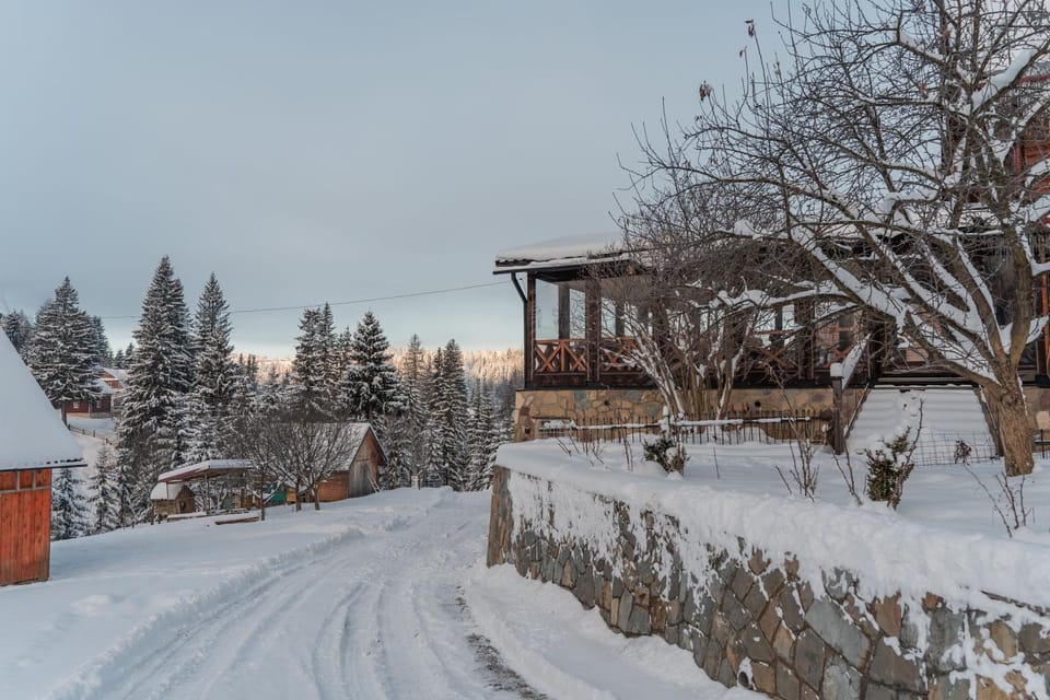 Natural landscape, Winter