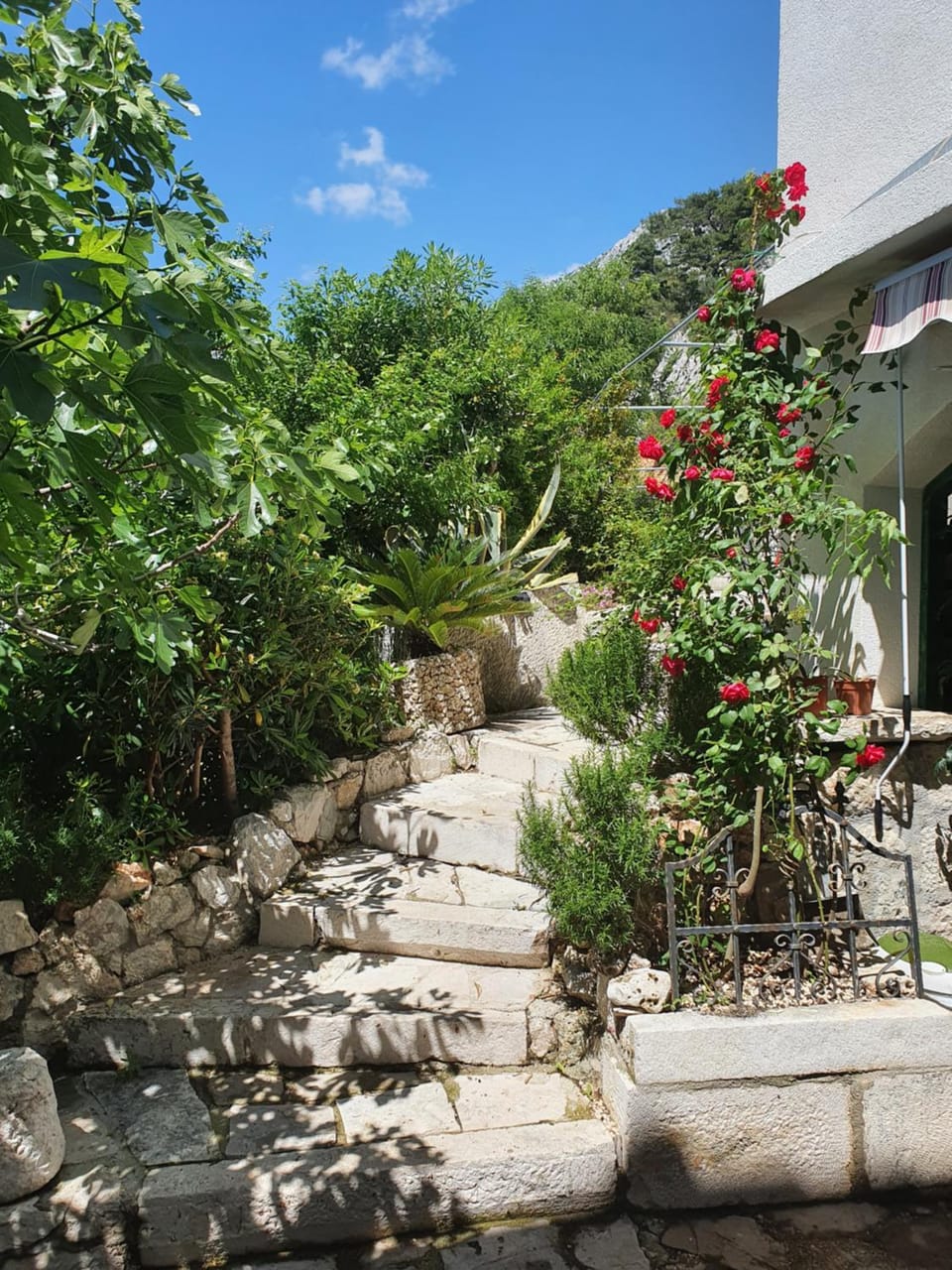 Apartments Jerković Drašnice-3bd Apartment in Split-Dalmatia County