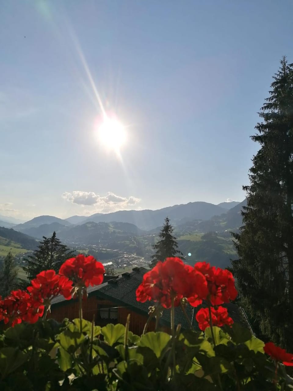 View (from property/room)