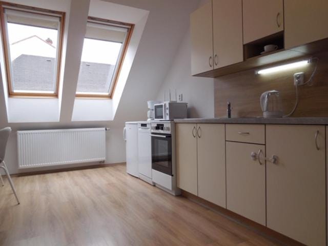 Apartmán Kamenice Apartment in Czechia