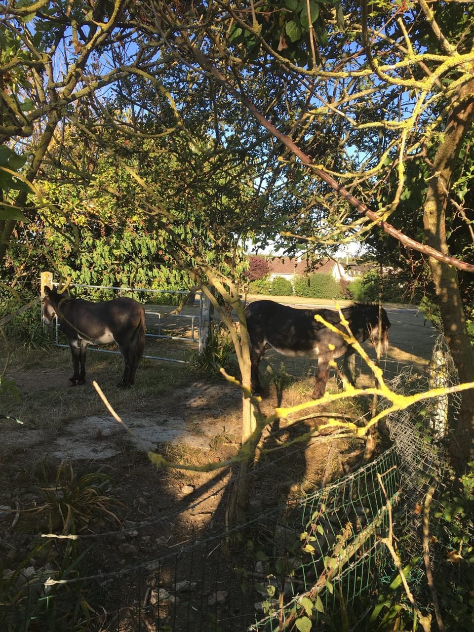 Mer et Marais Apartment in Normandy