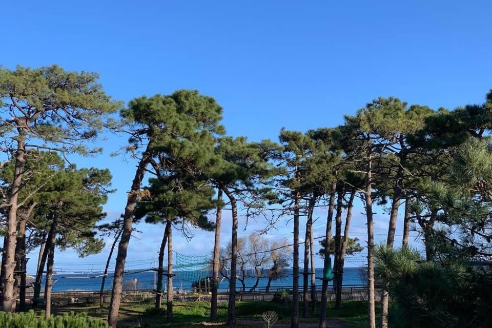 Appartement neuf sur Plage de Calvi Vue Mer Apartment in Calvi