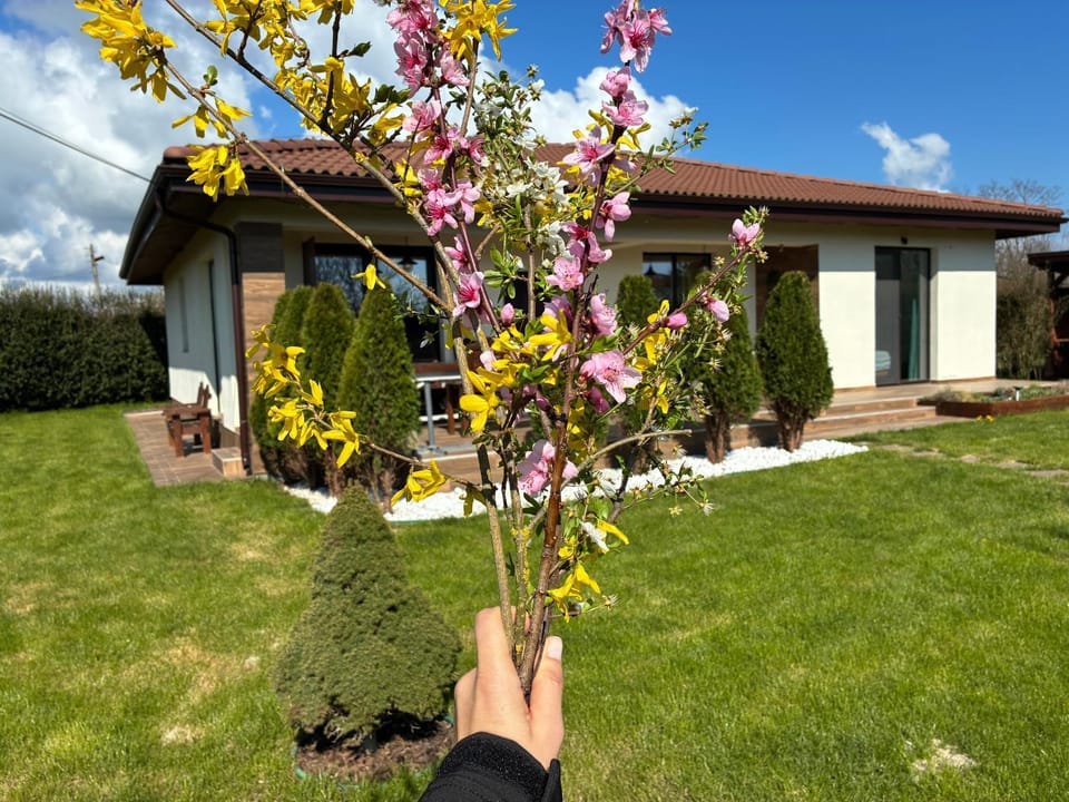 Sea You Guest House House in Dobrich Province, Bulgaria