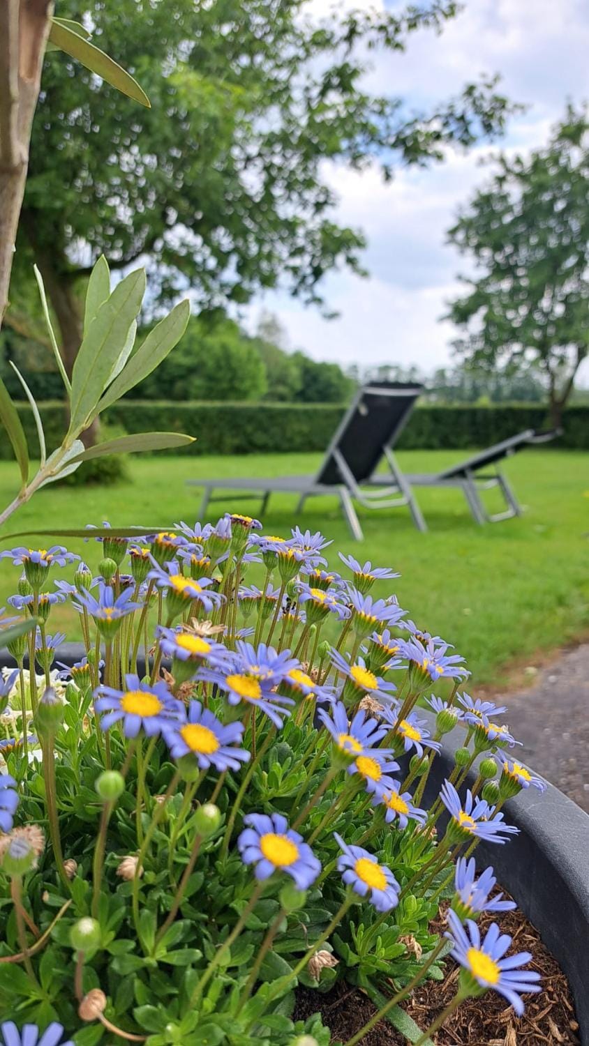 Spring, Day, Natural landscape, Garden, Garden view