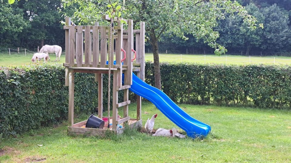Spring, Children play ground, Garden, Animals