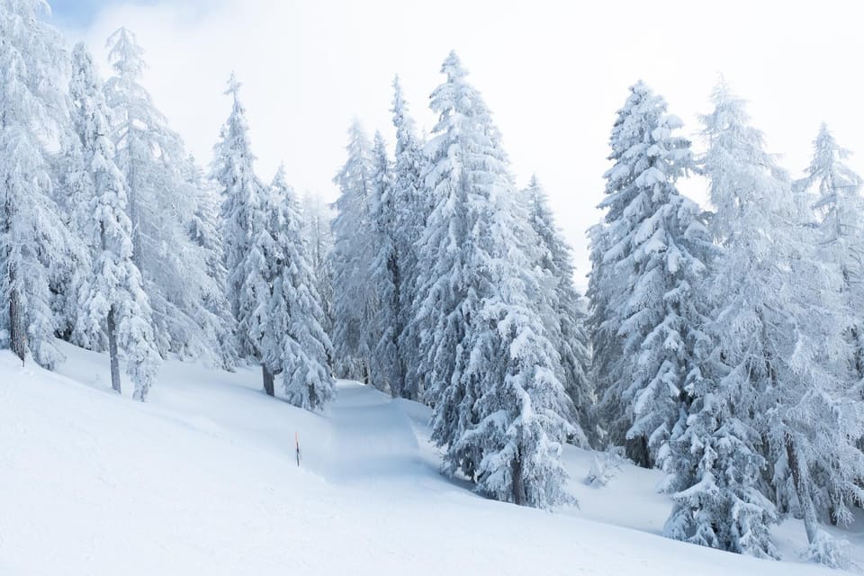 Skiing