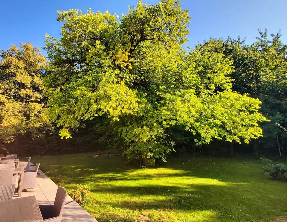Willa pod Złotą Morwą Vacation rental in Poland