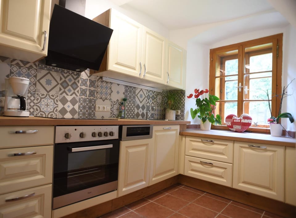 Ferienwohnung Raabklamm Apartment in Styria