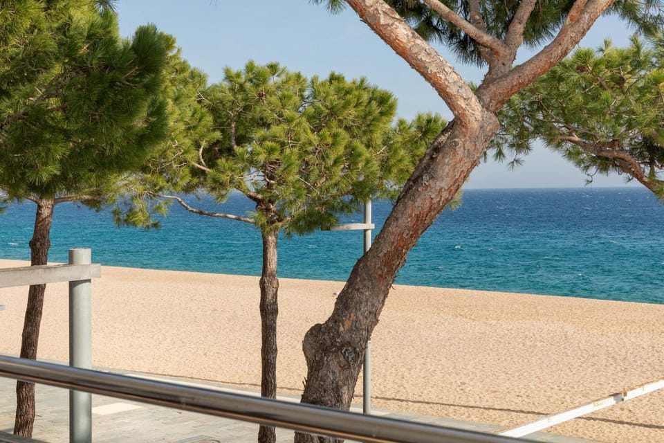 Beach, Sea view