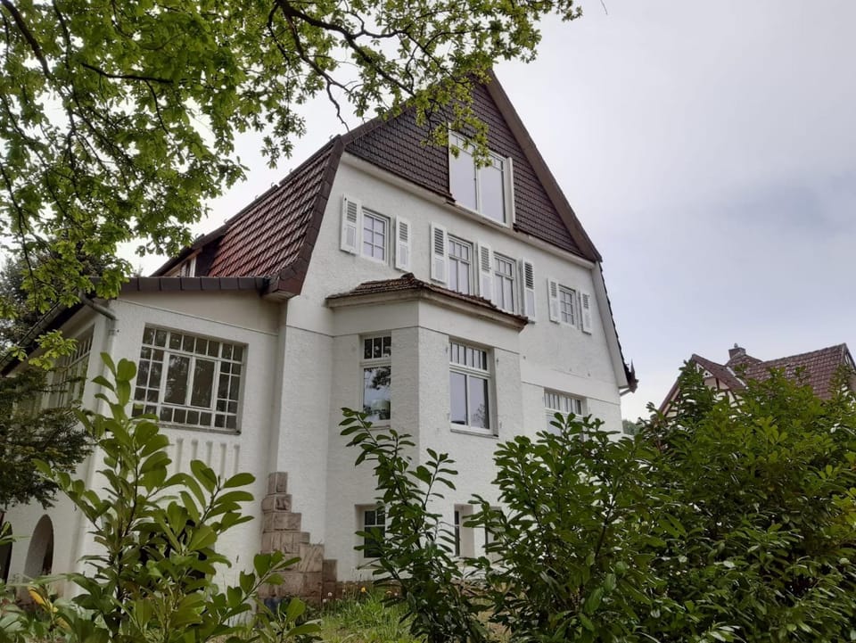 Villa am See Apartment in Bad Sachsa