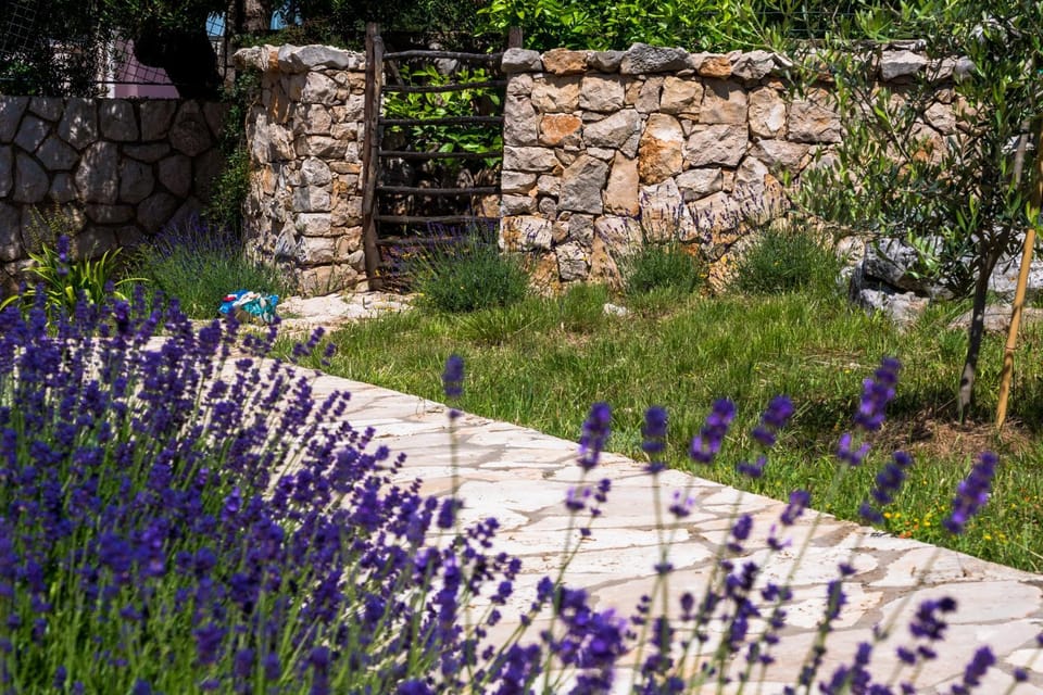 Apartmani Maslina Apartment in Lun