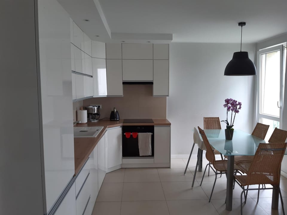 Kitchen or kitchenette, Living room, Seating area, Dining area, Bedroom