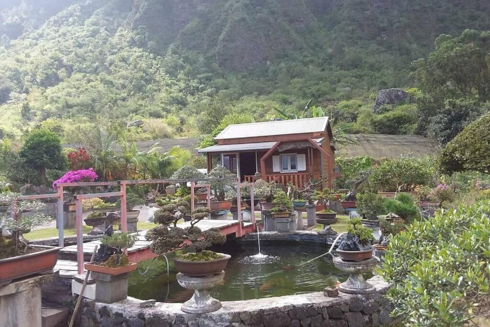 Au coin zen Apartment in Réunion