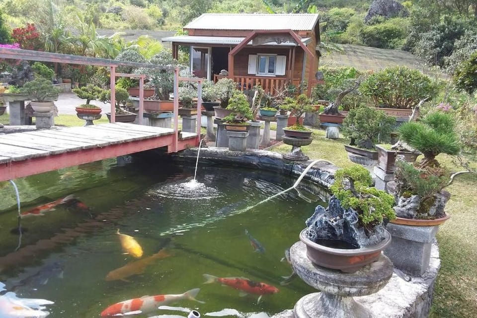 Au coin zen Apartment in Réunion