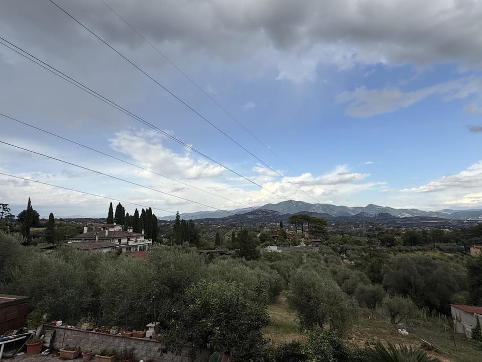 View (from property/room)