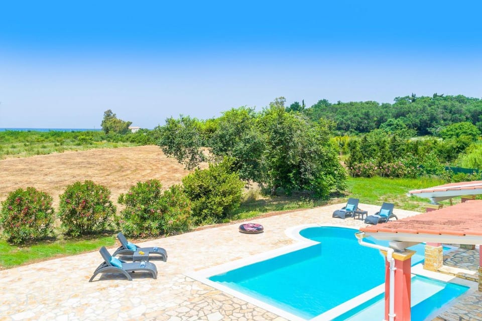 Garden, Pool view, Swimming pool