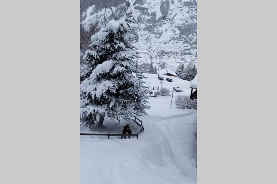 appartement en chalet au pied des pistes Apartment in Piedmont