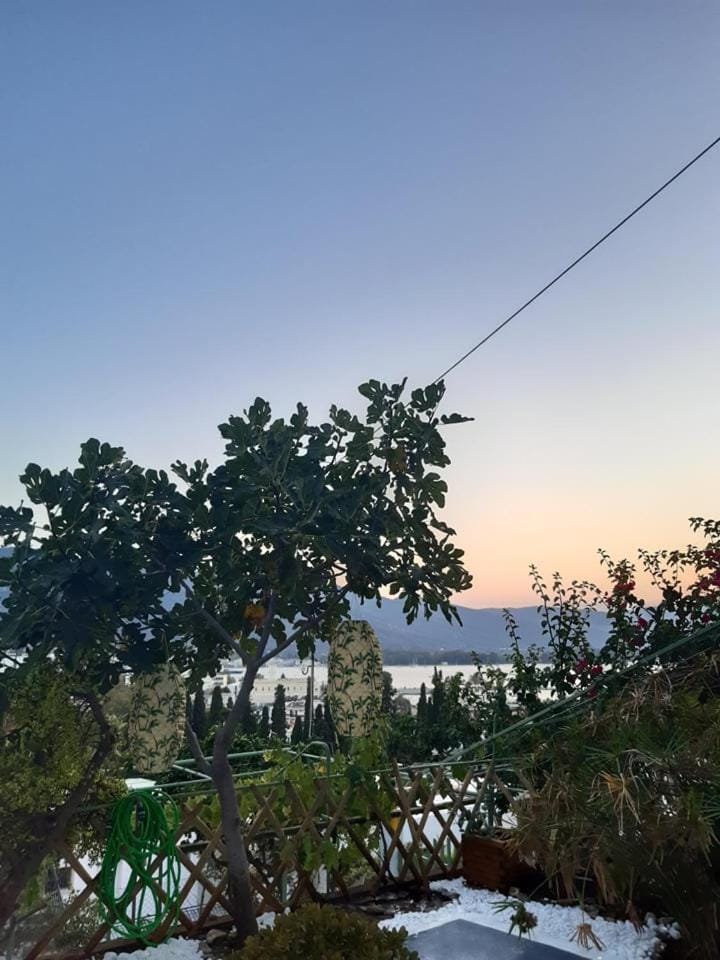 Sea view, Sunset