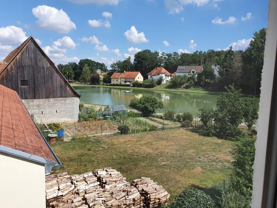 Lake view