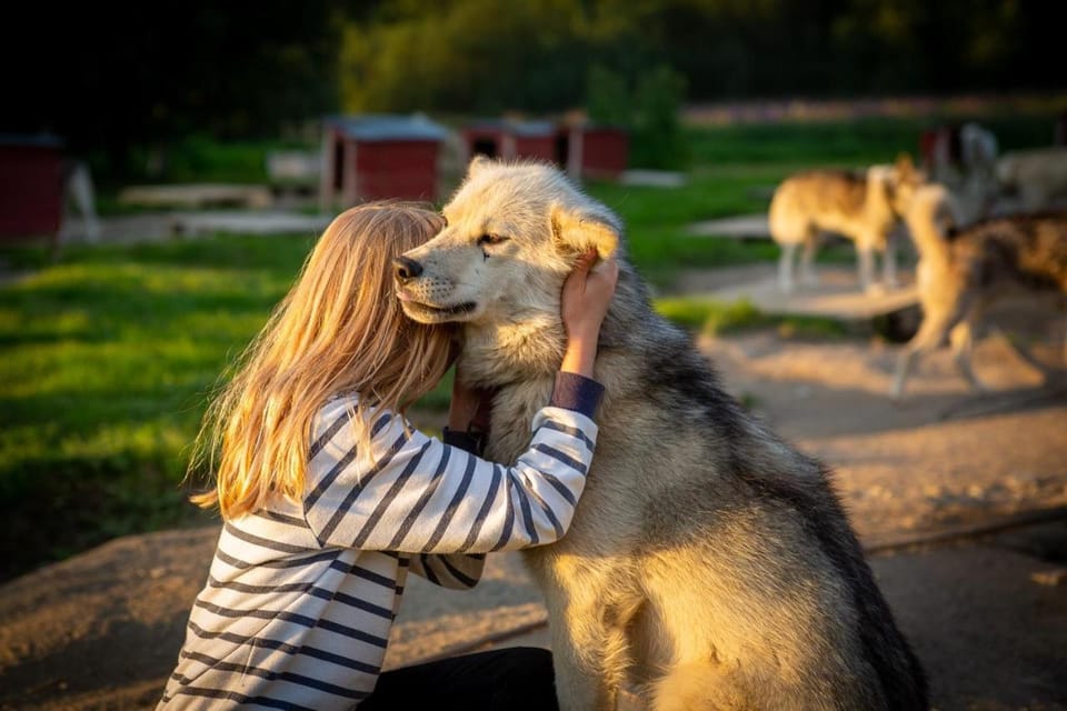 People, Summer, Animals, Family