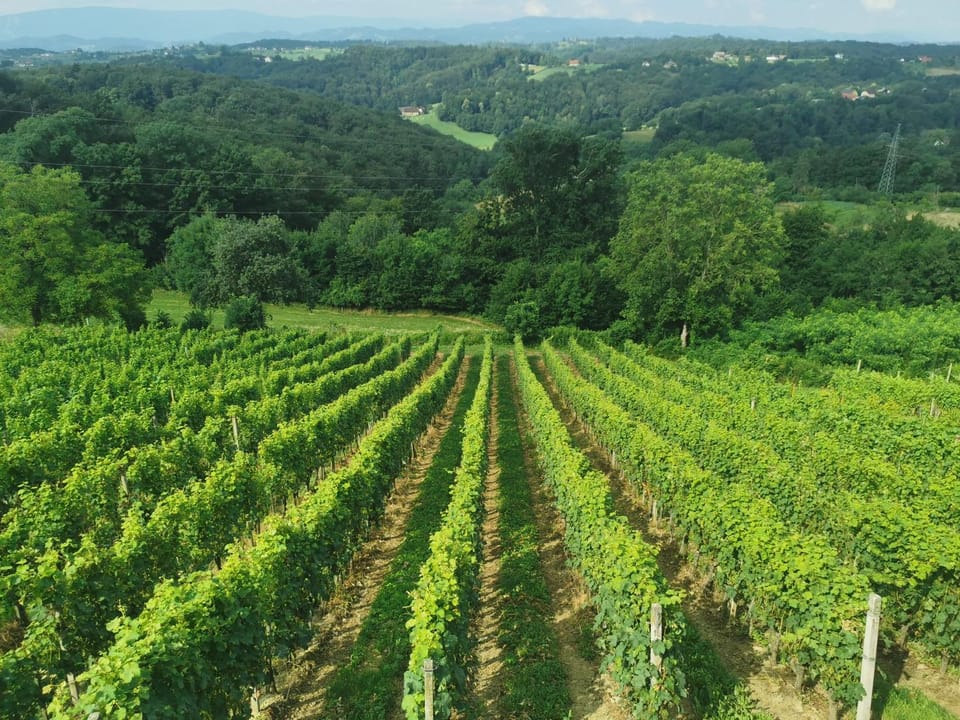 Sobe, Rooms B&B - Vina Kauran Bed and Breakfast in Slovenia