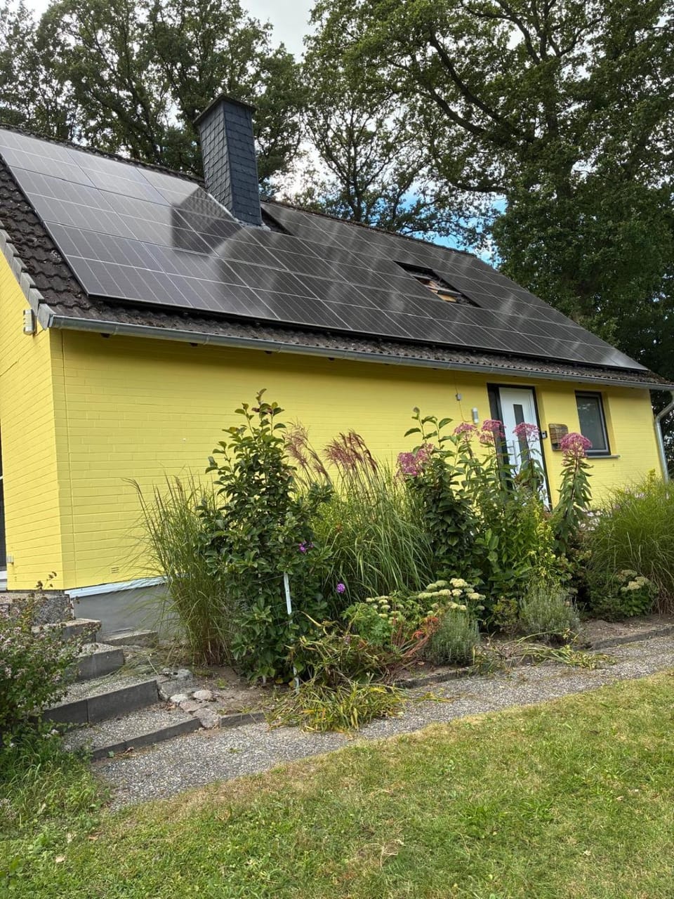 Haus Wald und Wiese Wohnung Wiese Apartment in Schleswig-Holstein